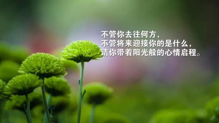 微信早安心语励志激励语 句句充满早安正能量