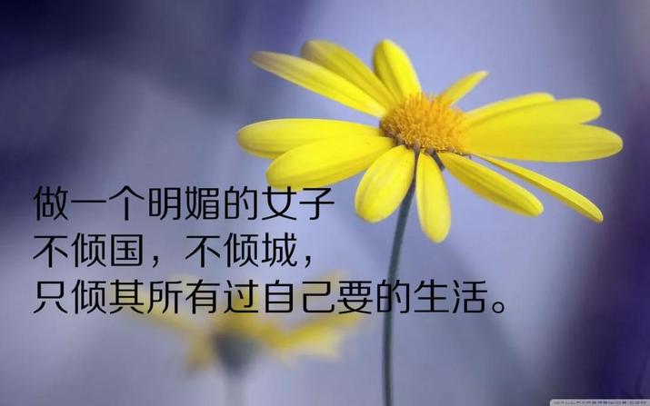 早晨自我激励的励志正能量语句 句句精辟激励人努力