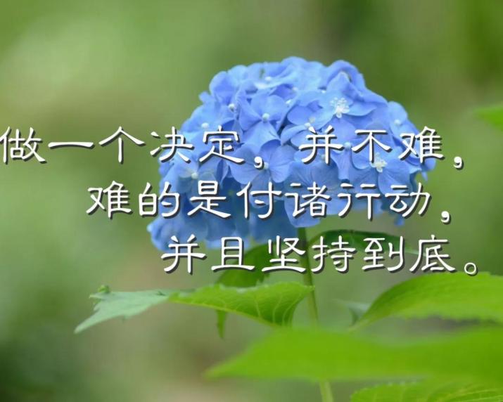 早晨自我激励的励志正能量语句 句句精辟激励人努力