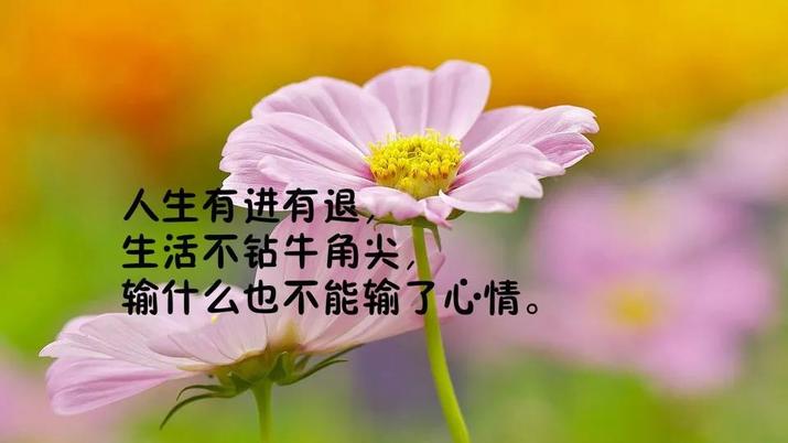 朋友圈早安正能量满满的经典语句 送给努力奋斗中的你