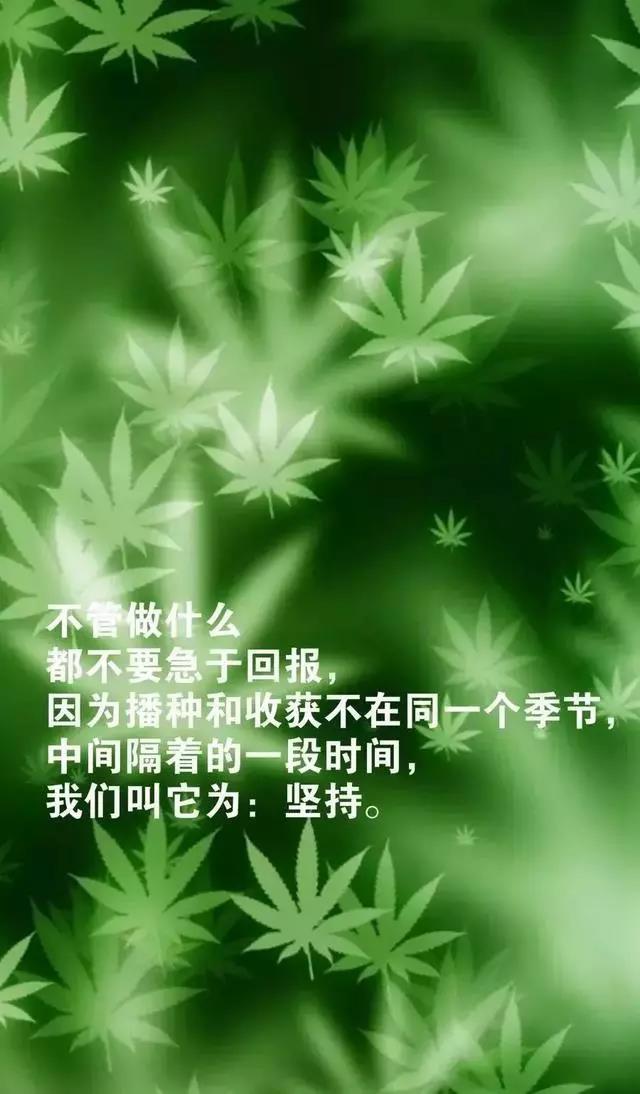 最新早安心语正能量励志句子,句句激励人努力