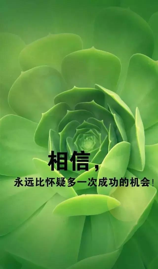 最新早安心语正能量励志句子,句句激励人努力