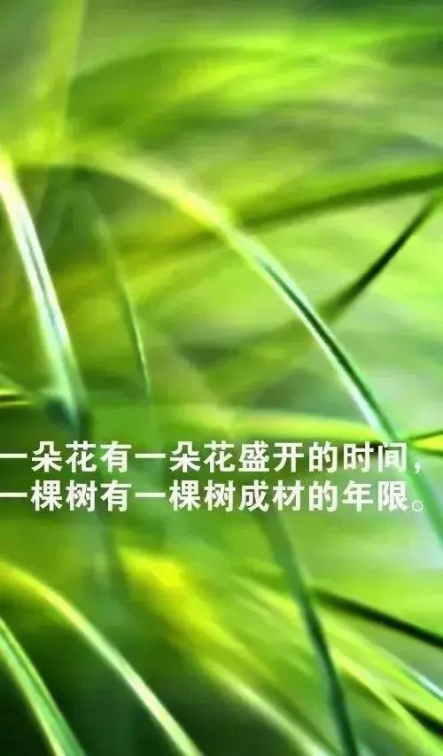 最新早安心语正能量励志句子,句句激励人努力