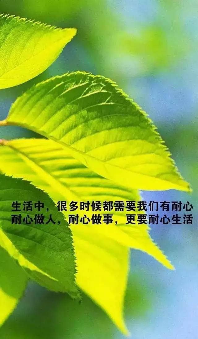 最新早安心语正能量励志句子,句句激励人努力