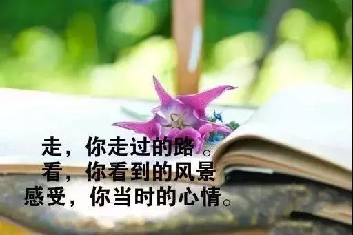 朋友圈早安入心哲理说说语录,总有一句说到心坎里