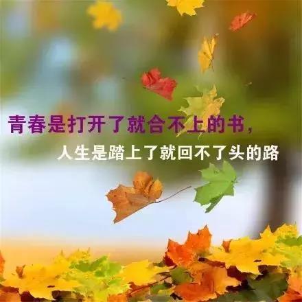 朋友圈早安入心哲理说说语录,总有一句说到心坎里