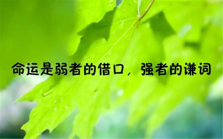 周末早安励志语录正能量短句开启美好的周末