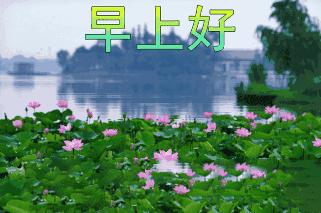 每日早晨正能量带问候语的图片早安心语正能量一句话