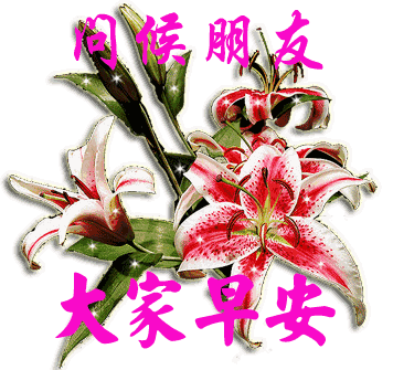 每日早晨正能量带问候语的图片早安心语正能量一句话