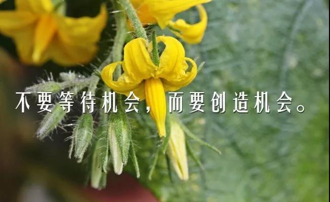 十二月最新早安正能量致自己的心情句子