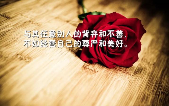 十二月最新早安正能量致自己的心情句子