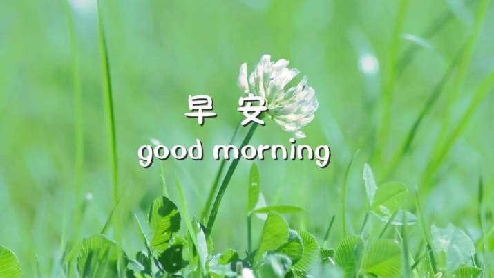 周一经典励志语录周一早上好图片