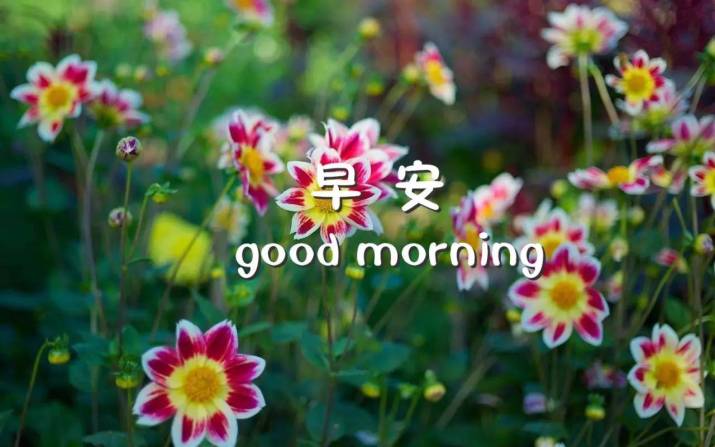 周一经典励志语录周一早上好图片
