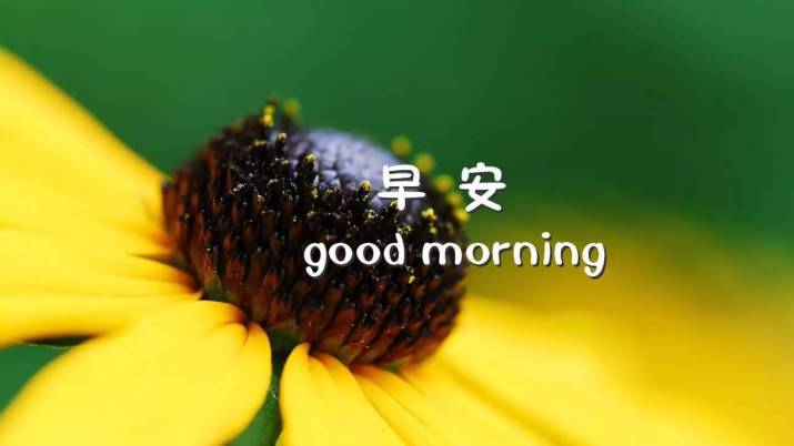 周一经典励志语录周一早上好图片