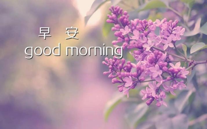 早上好图片正能量早安心语图片