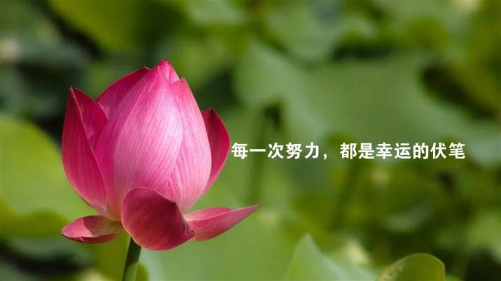 睡前暖心的晚安心语简单晚安短句子一句话
