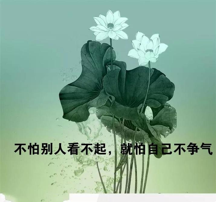 睡前暖心的晚安心语简单晚安短句子一句话