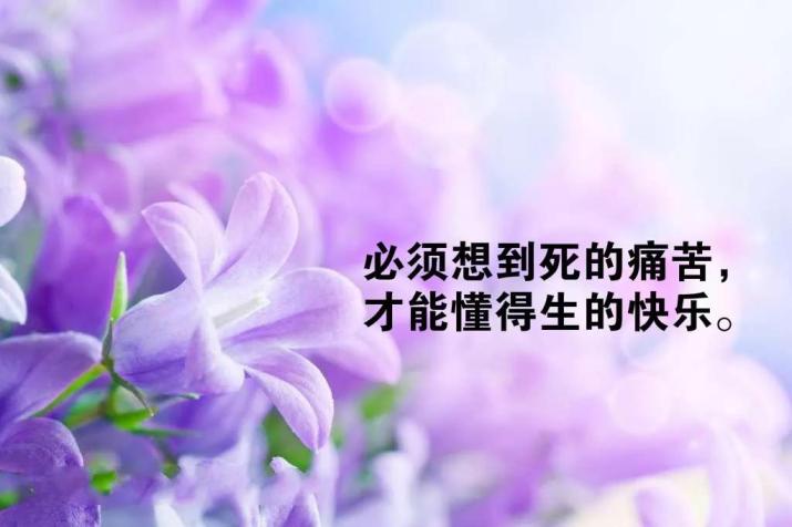 睡前暖心的晚安心语简单晚安短句子一句话