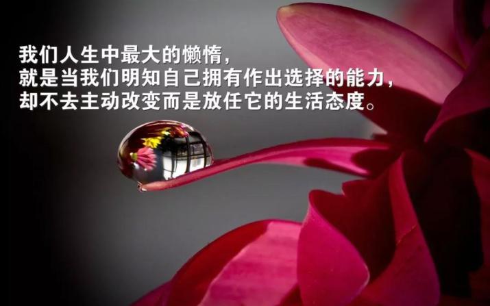 最新晚安心语优美的句子朋友圈最新正能量激励句子