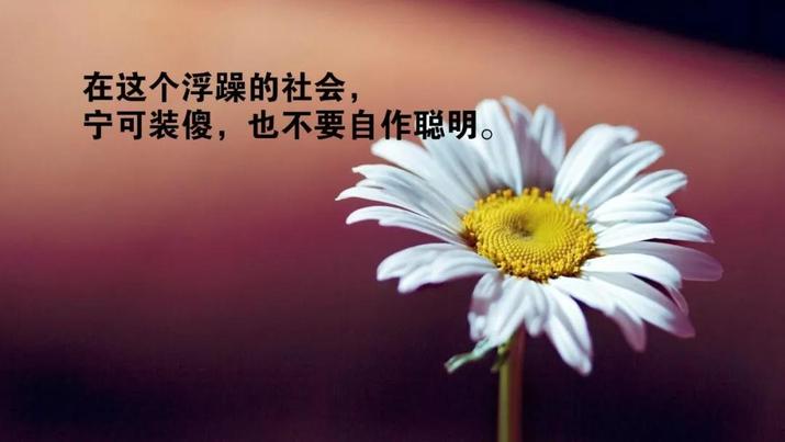 最新晚安心语优美的句子朋友圈最新正能量激励句子