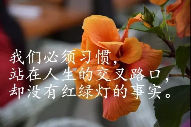 触动心灵的晚安励志正能量语录经典有深度