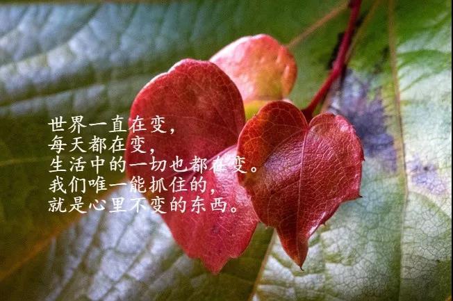 触动心灵的晚安励志正能量语录经典有深度