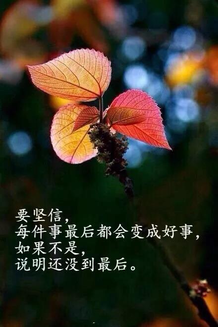 触动心灵的晚安励志正能量语录经典有深度