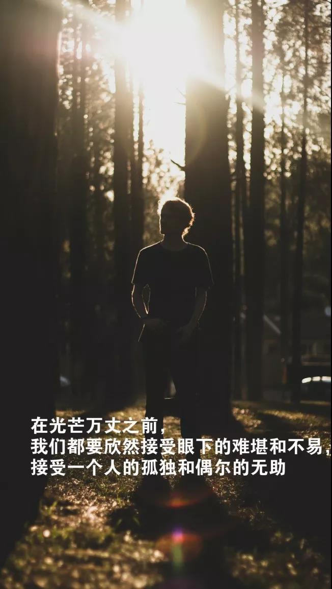 触动心灵的晚安励志正能量语录经典有深度