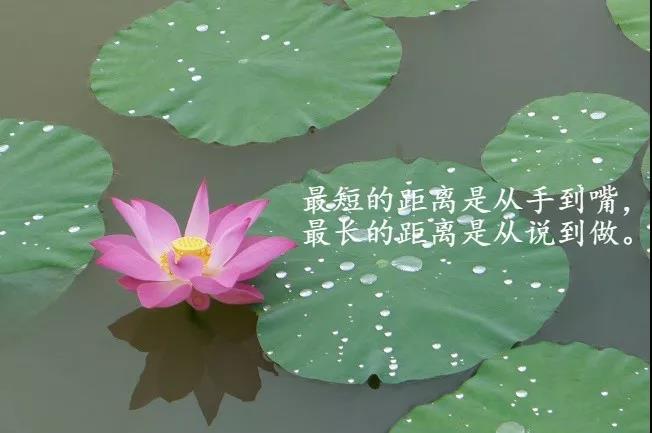 触动心灵的晚安励志正能量语录经典有深度