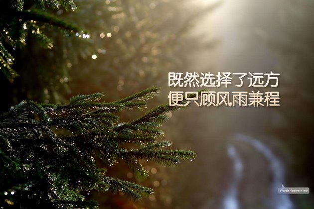 [励志图片]奋斗的女人早安心语正能量：新的一周第一天上班的心情说说