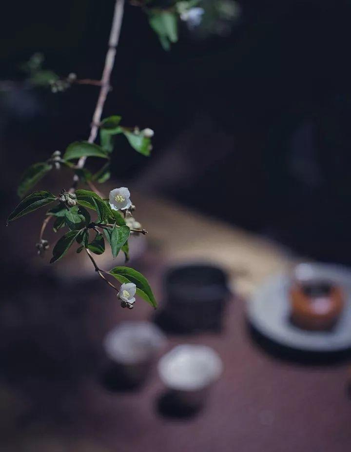 梁实秋:一盏清茶,往事如烟 梁实秋:一盏清茶,往事如烟