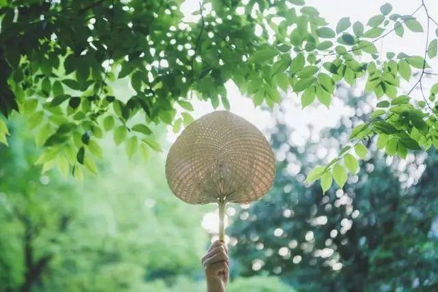 十首大暑诗词:何以销烦暑,诗中寻清风 十首大暑诗词:何以销烦暑,诗中寻清风