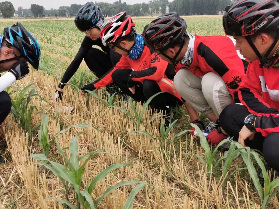 80后老师带11名毕业生骑行千里,校领导紧张,家长被气住院,有人流泪开车跟几公里 80后老师带11名毕业生骑行千里,校领导紧张,家长被气住院,有人流泪开车跟几公里