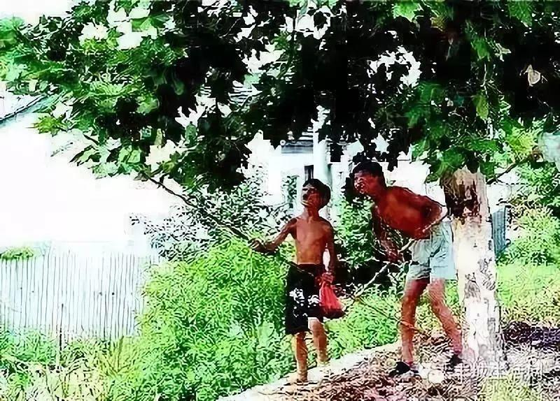 20年前没空调，我们是这样过夏天的，看哭所有人