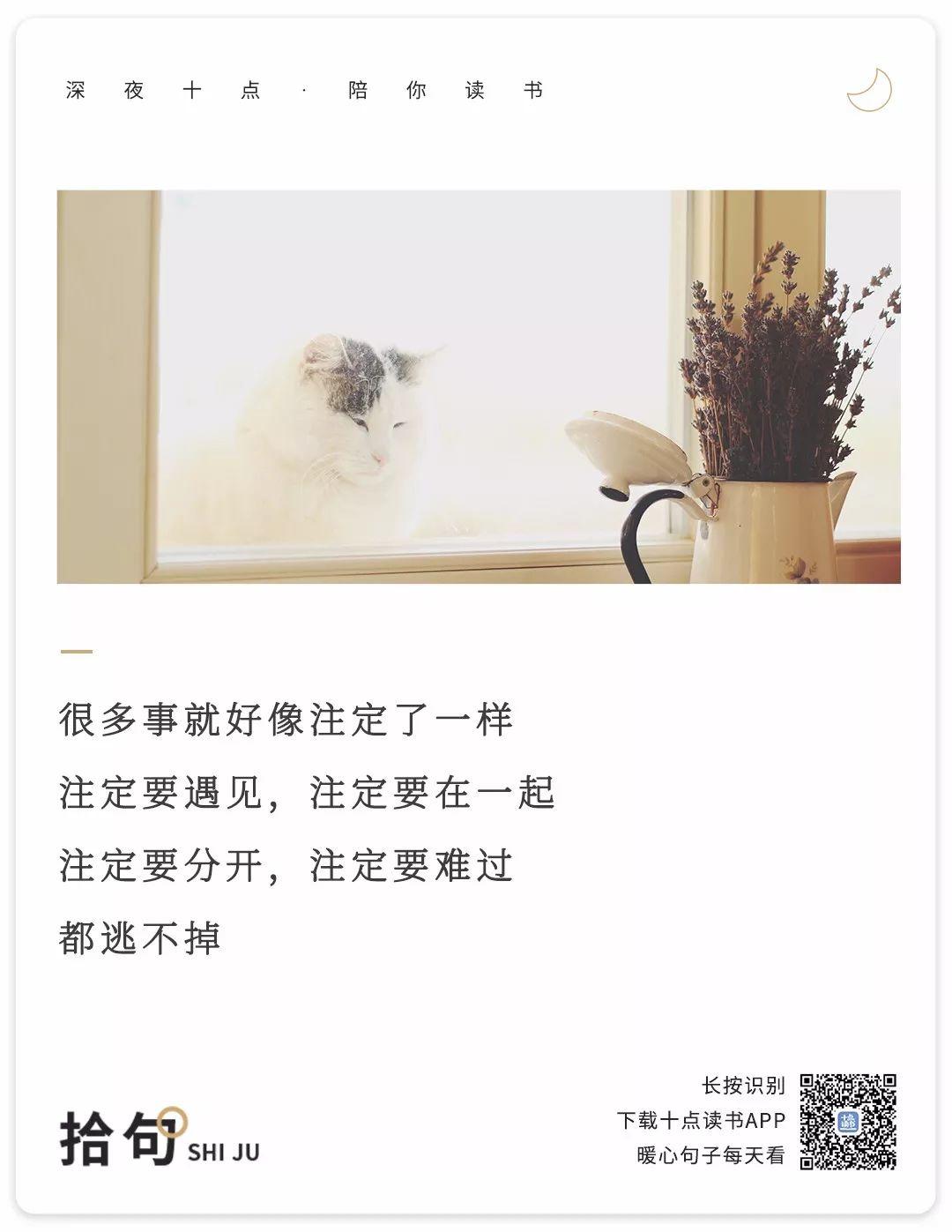 这样陪你聊天的人一定很爱你 这样陪你聊天的人一定很爱你