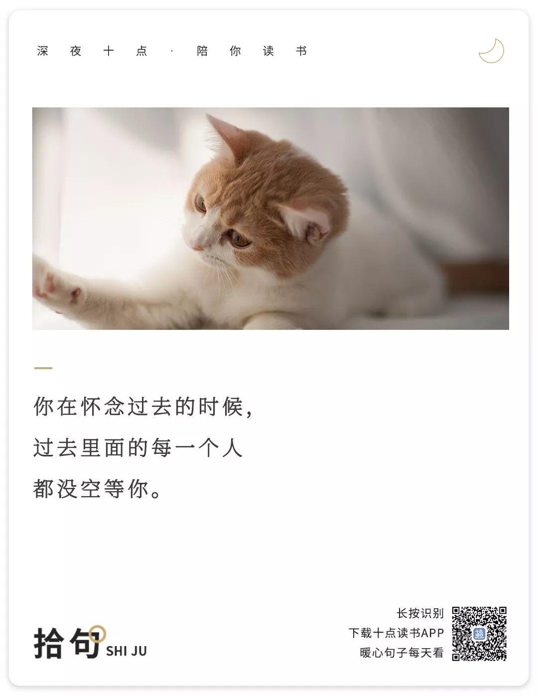 聊出来的感情，建议你拉黑