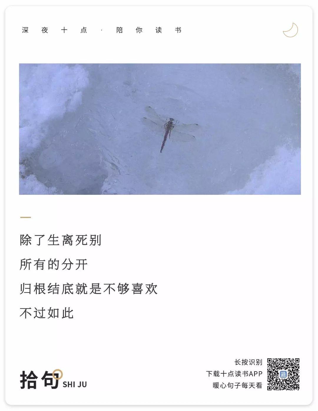 “对方撤回了一条消息……” “对方撤回了一条消息……”