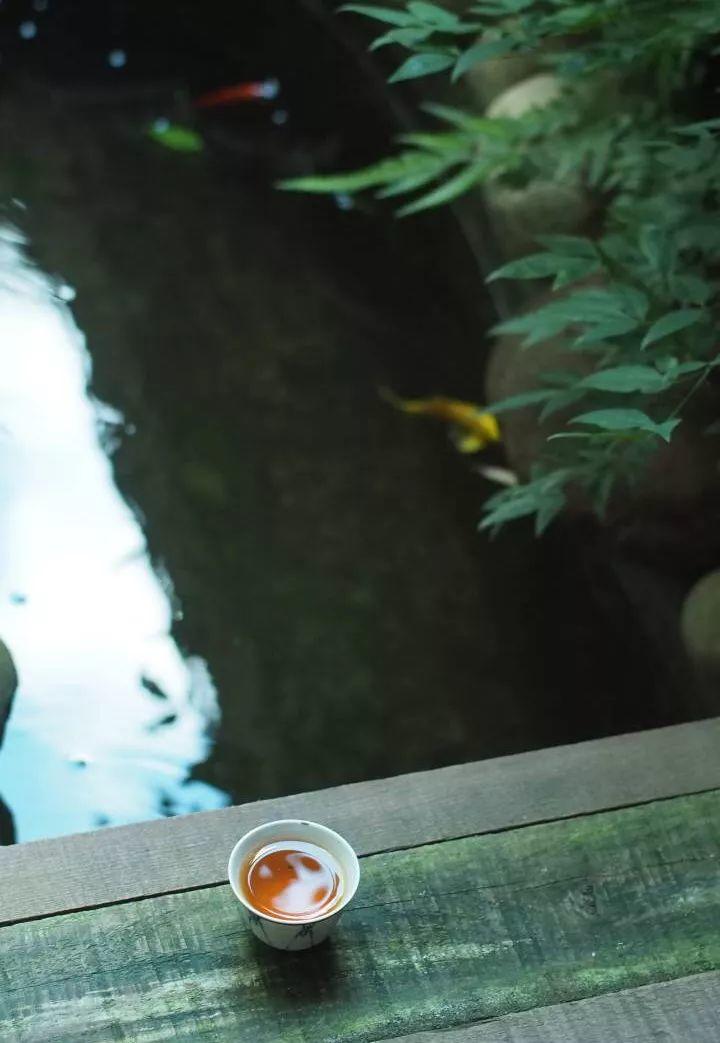 梁实秋:一盏清茶,往事如烟 梁实秋:一盏清茶,往事如烟