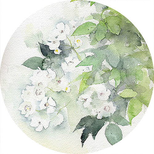 不是遗嘱,是情书