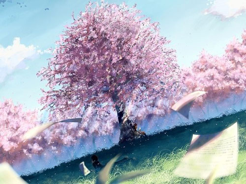 安妮宝贝:少年樱花