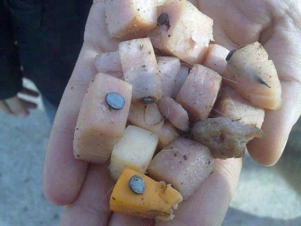 怂逼的恶意!