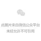 爸妈，我过年不回家可以吗？ 作者/十三妹丁无畏