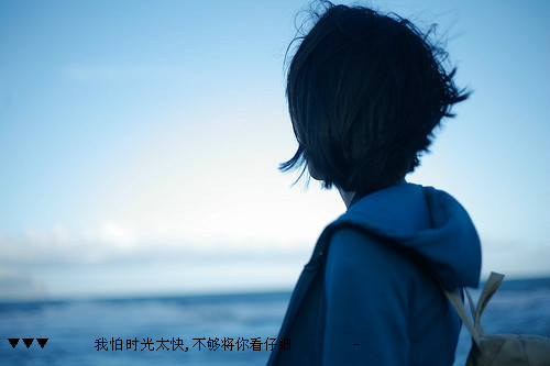 爱在晨钟暮鼓时沈蓓一宁少辰小说火爆章节整篇免费阅读
