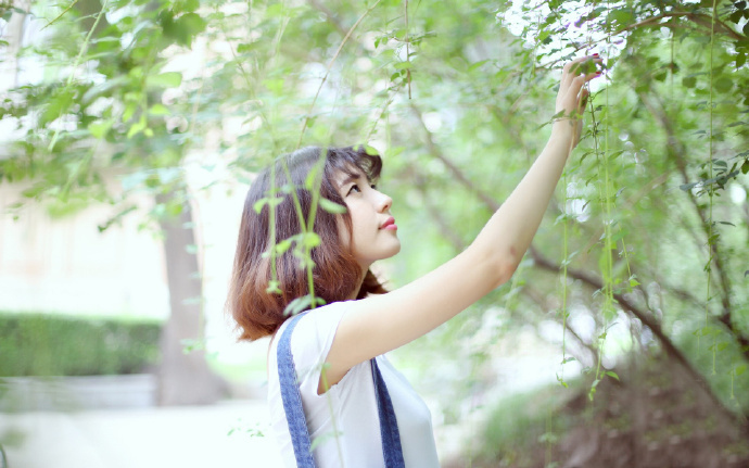 绝世高手，隐于都市，却被冰山美女总裁逼婚。