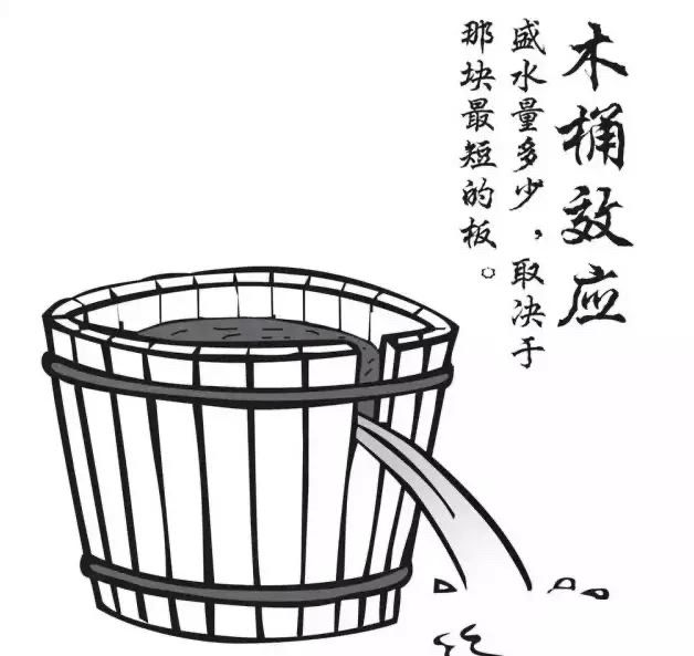 使用新木桶效应，4招提升孩子学习力