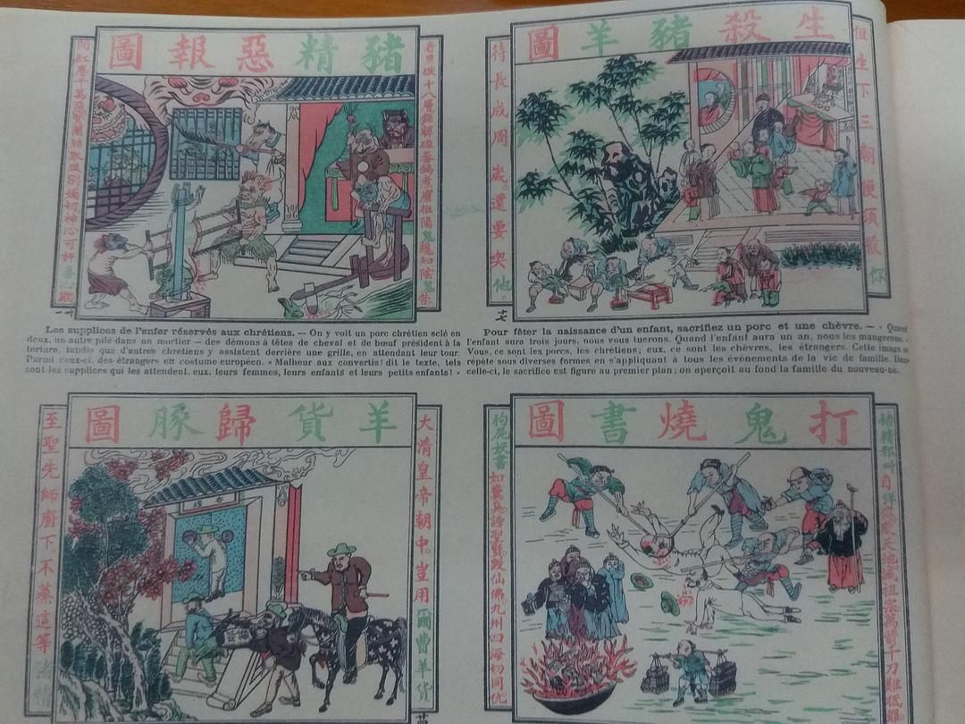 图反映了什么？