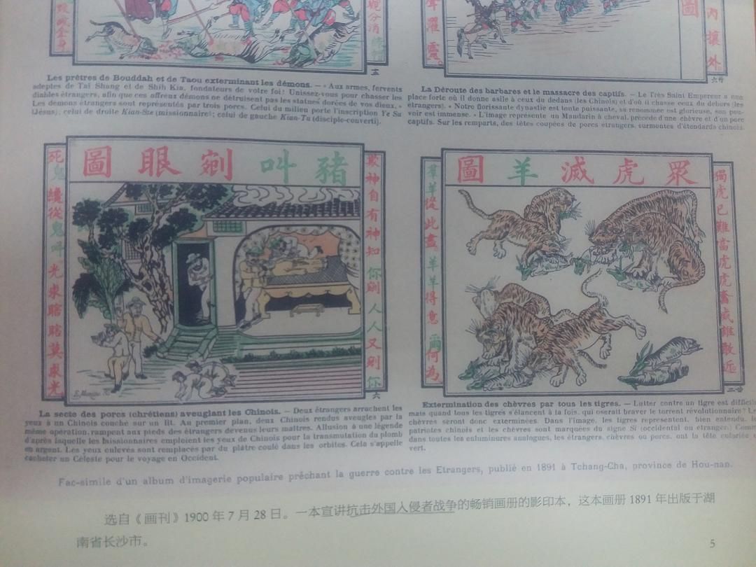 图反映了什么？