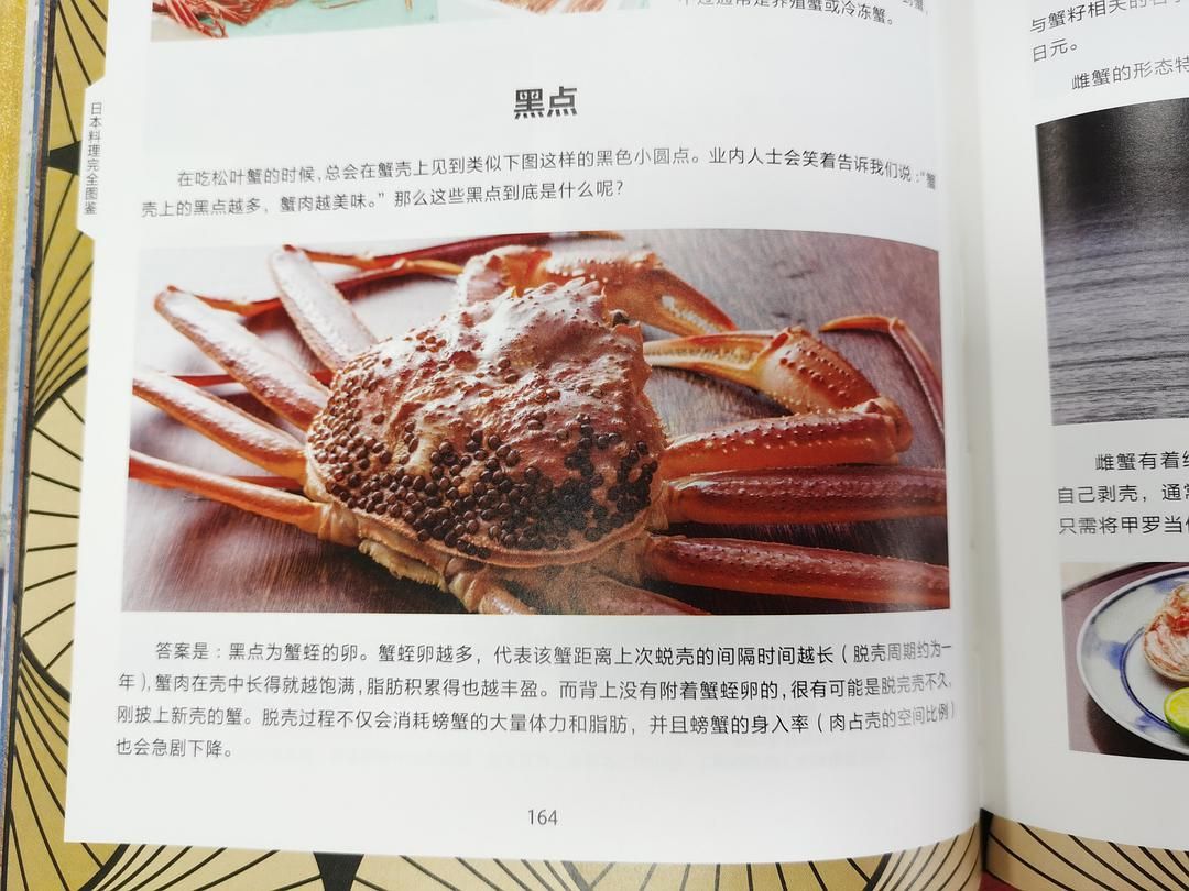 一本书“吃透”日料：终于搞清楚了关于日料的一切
