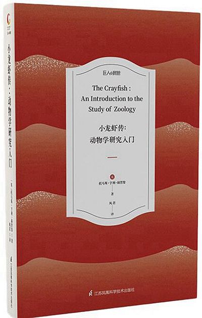 看,好“吃”的小龙虾来了!