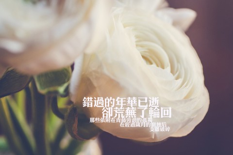 想放弃了的说说 心累了想放弃的说说